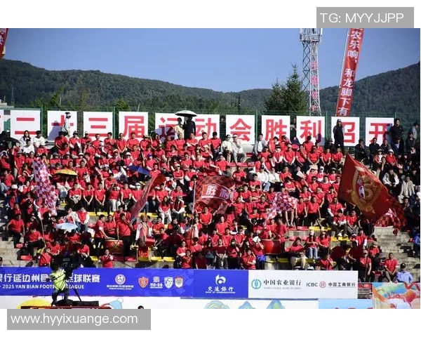 2025年最新国家队足球星级排名揭晓全球强队谁能登顶